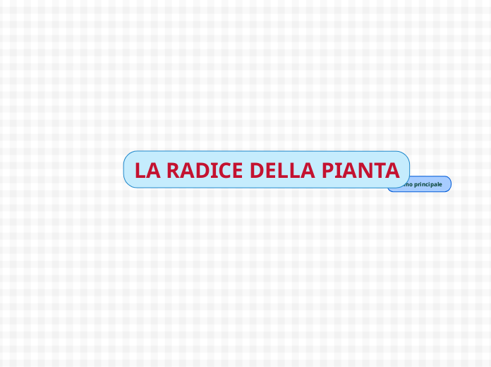 LA RADICE DELLA PIANTA