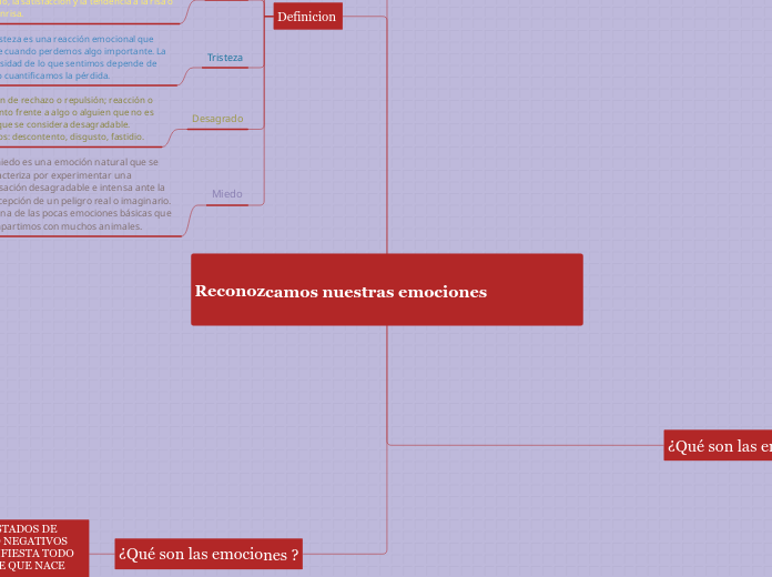 Reconozcamos nuestras emociones
