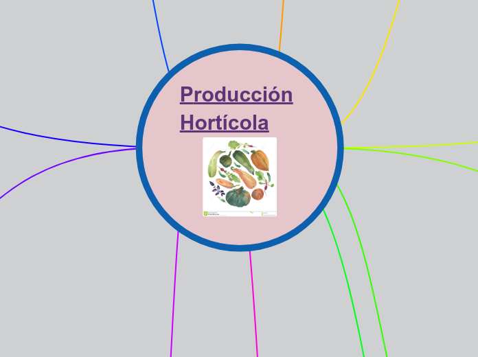 Producción        Hortícola