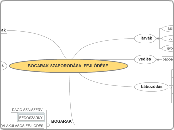 Bogarak szaporodása, fejlődése