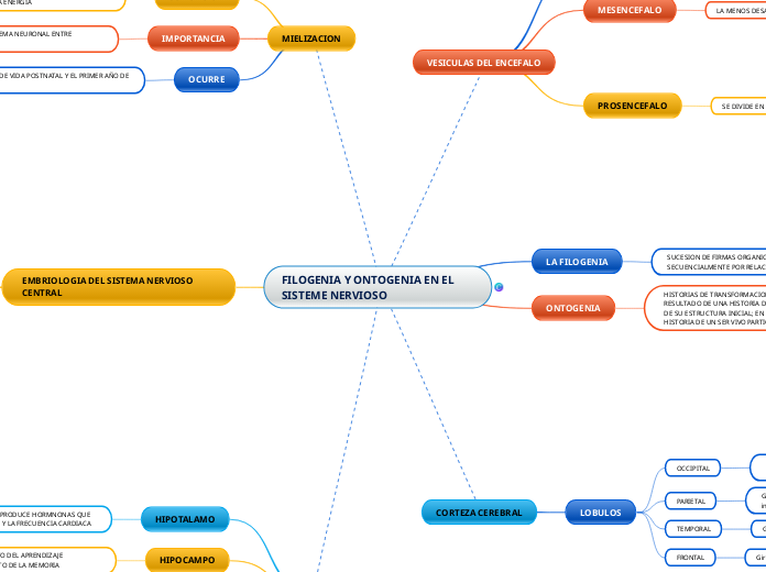 FILOGENIA Y ONTOGENIA EN EL SISTEME NER...- Mapa Mental