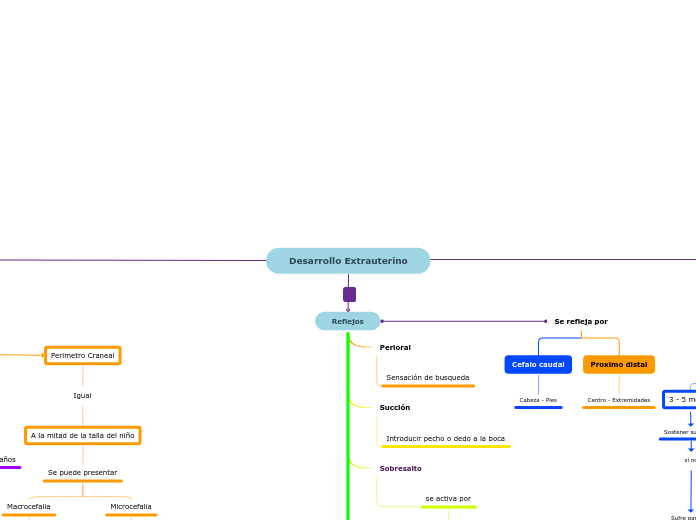Desarrollo Extrauterino - Mapa Mental