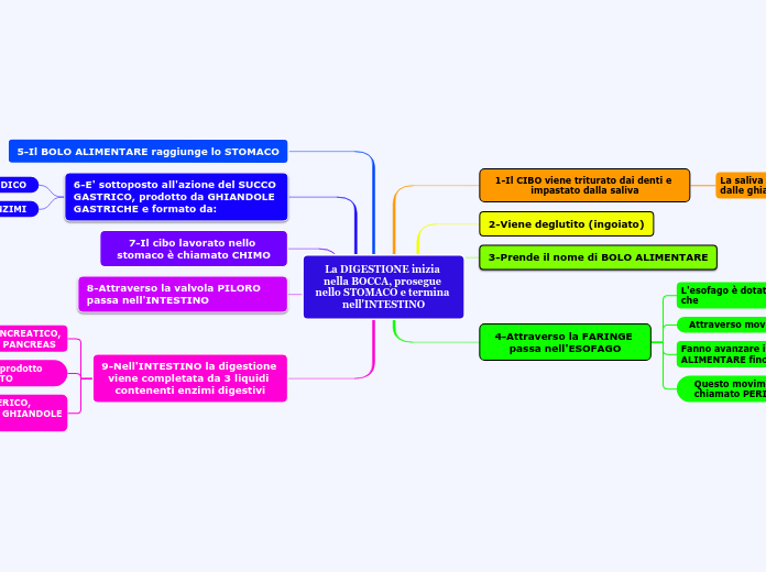 La DIGESTIONE inizia nella BOCCA, pro...- Mappa Mentale