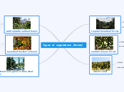 Types of  vegetations /forest/