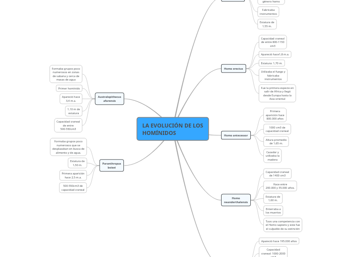 LA EVOLUCIÓN DE LOS HOMÍNIDOS