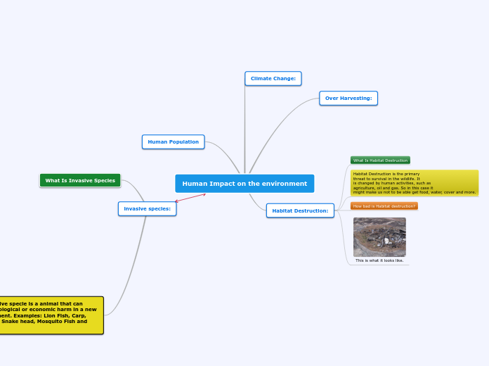 Human Impact on the environment