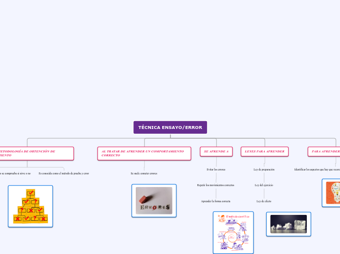 TÉCNICA ENSAYO/ERROR - Mapa Mental