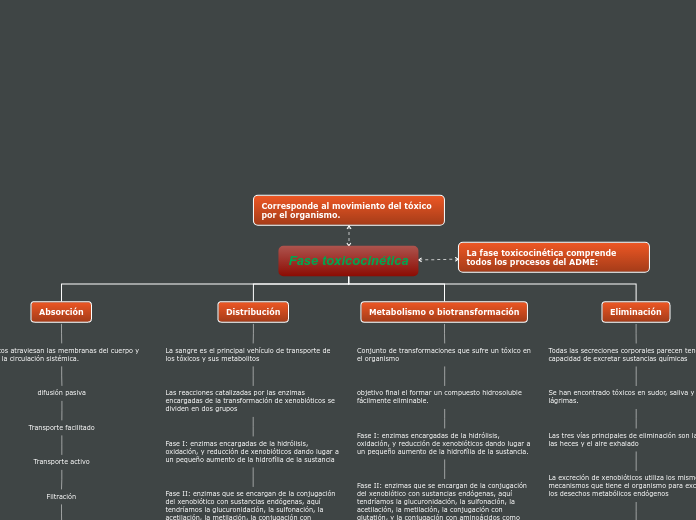 Fase toxicocinética - Mapa Mental