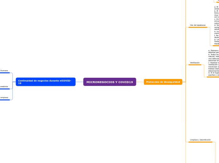 MICRONEGOCIOS Y COVID19 - Mapa Mental