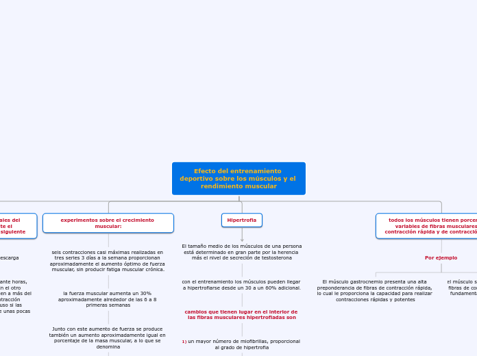 Efecto del entrenamiento deportivo sobre los músculos y el rendimiento muscular