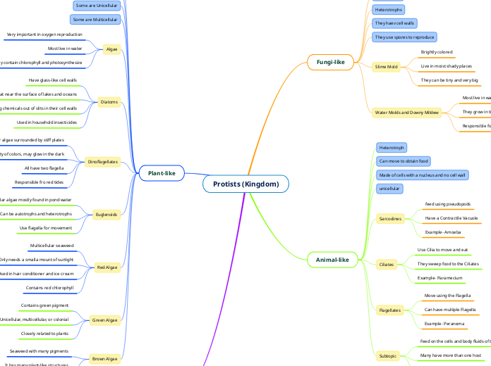 Protists (Kingdom)