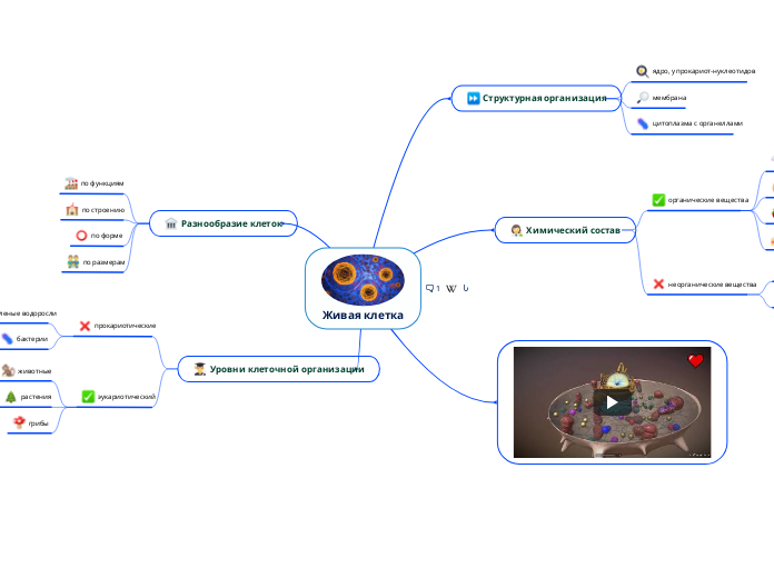 Живая клетка - Мыслительная карта