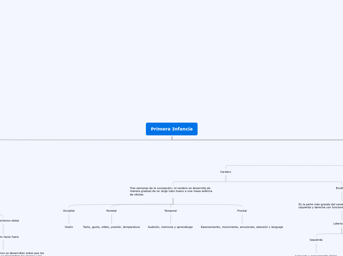 Primera Infancia - Mapa Mental