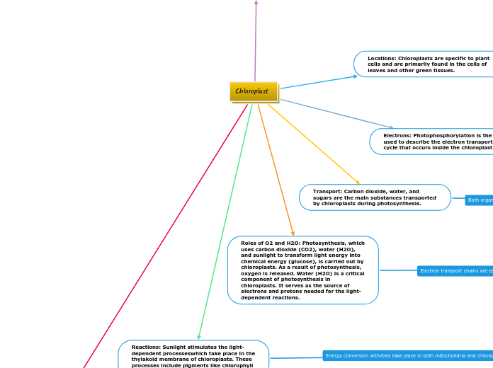 Chloroplast 