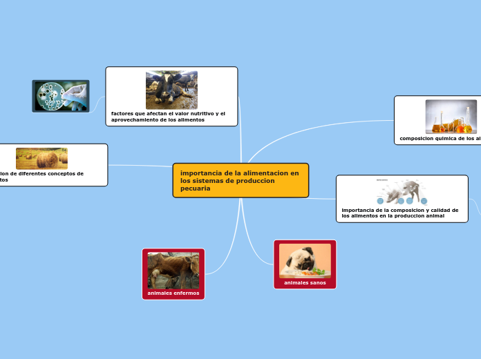 importancia de la alimentacion en los s...- Mapa Mental