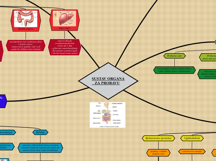 SUSTAV ORGANA
   ZA PROBAVU - Mind Map