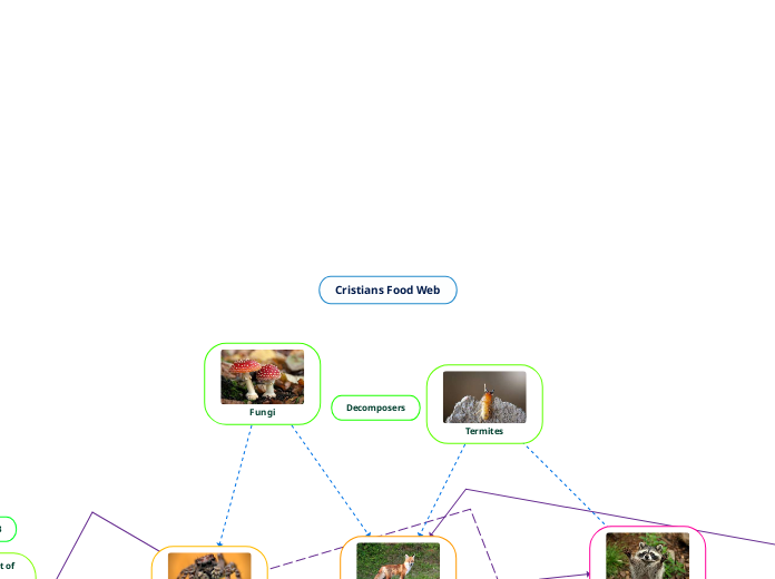 Cristians Food Web