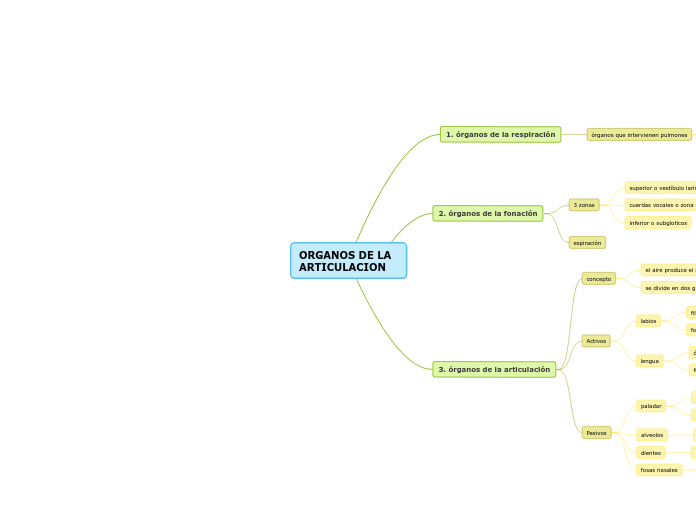 ORGANOS DE LA ARTICULACION