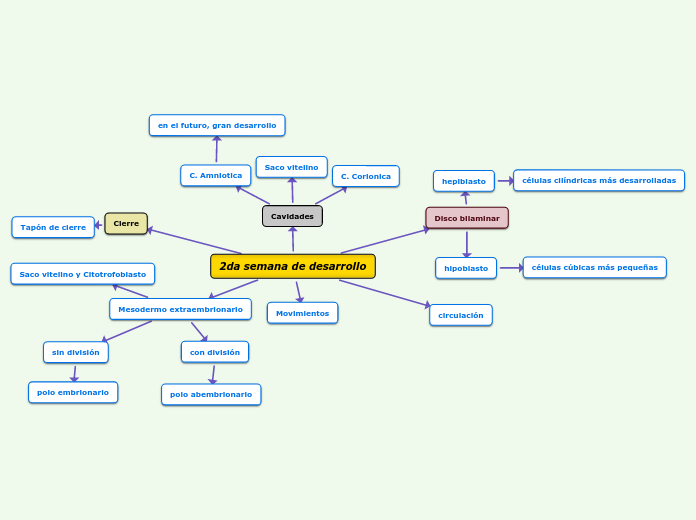 2da semana de desarrollo - Mapa Mental