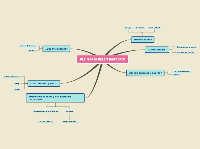 PLE MARÍA BELÉN BARBERIO - Mapa Mental