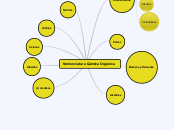 Nomenclatura Química Orgánica - Mapa Mental