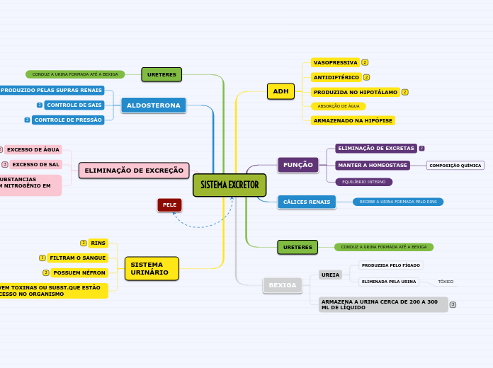 SISTEMA EXCRETOR