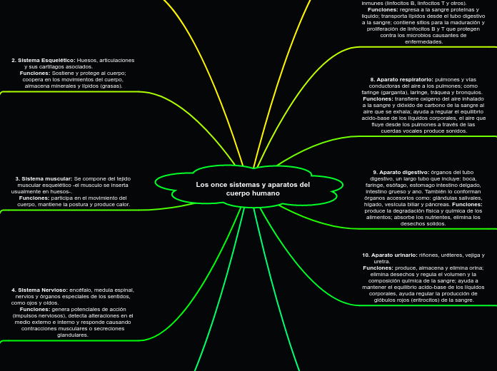 Los once sistemas y aparatos del cuerpo humano 