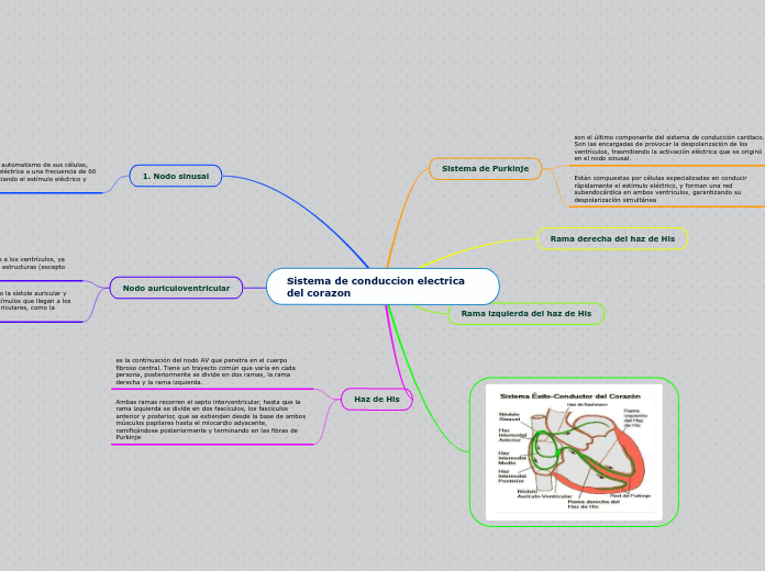 Sistema de conduccion electrica del corazon
