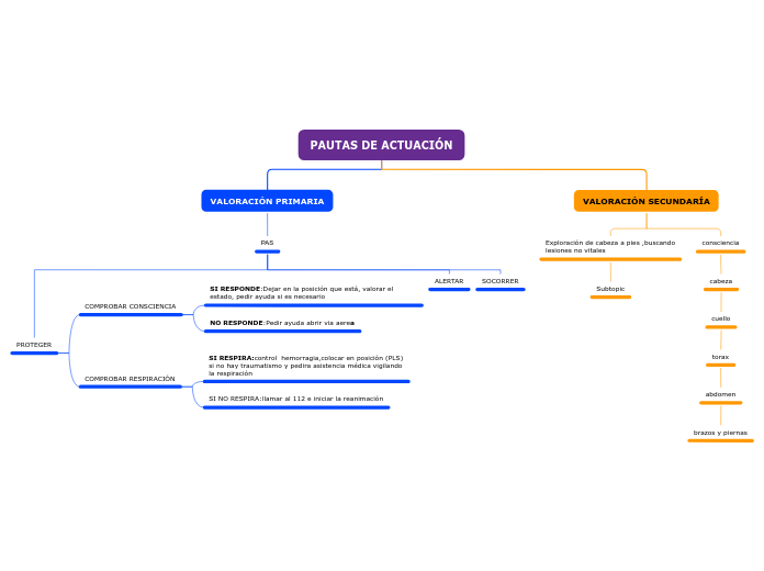 PAUTAS DE ACTUACIÓN - Mapa Mental