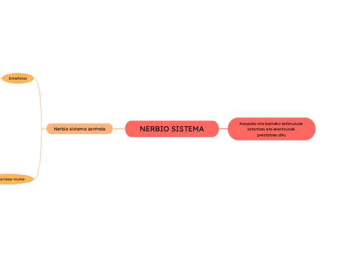 NERBIO SISTEMA