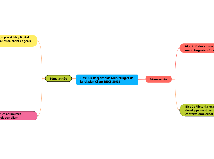 Titre ICD Responsable Marketing et de la relation Client RNCP 38938