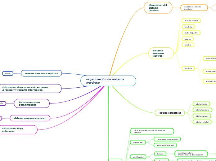 organización de sistema nervioso