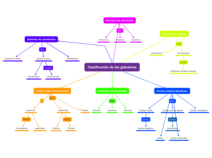 Clasificación de las glándulas - Mapa Mental