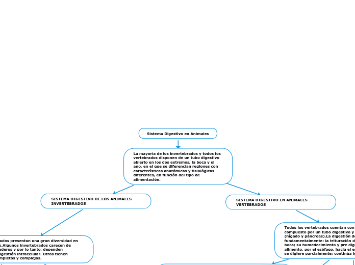 Sistema Digestivo en Animales