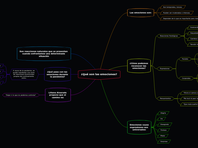 ¿Qué son las emociones?
