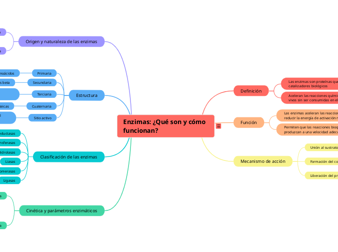 Enzimas: ¿Qué son y cómo funcionan?