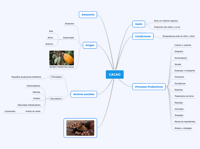 CACAO - Mapa Mental