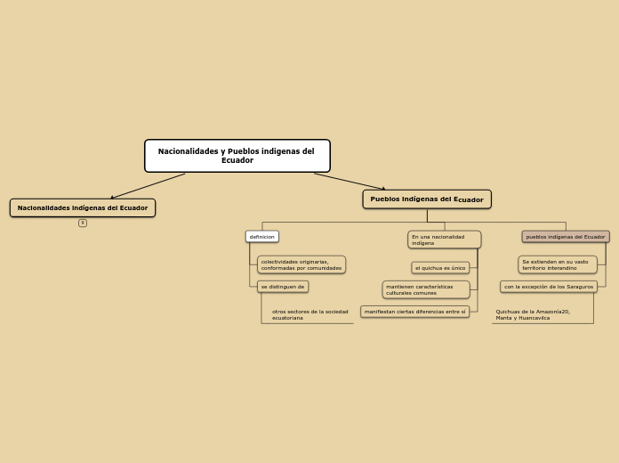Nacionalidades y Pueblos indigenas del Ecuador