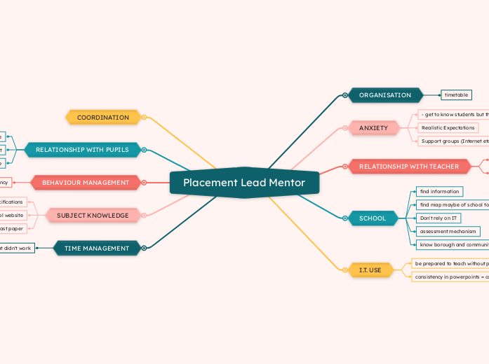 Placement Lead Mentor