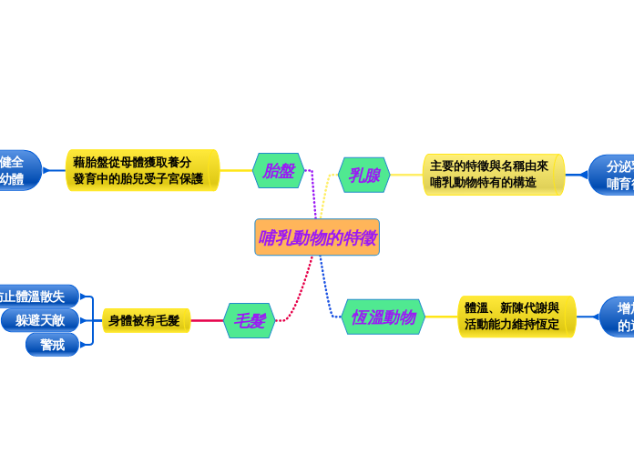 哺乳動物的特徵