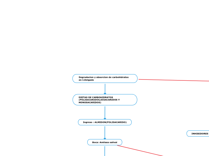 Degradacion y absorcion de carbohidratos en I.Delgado