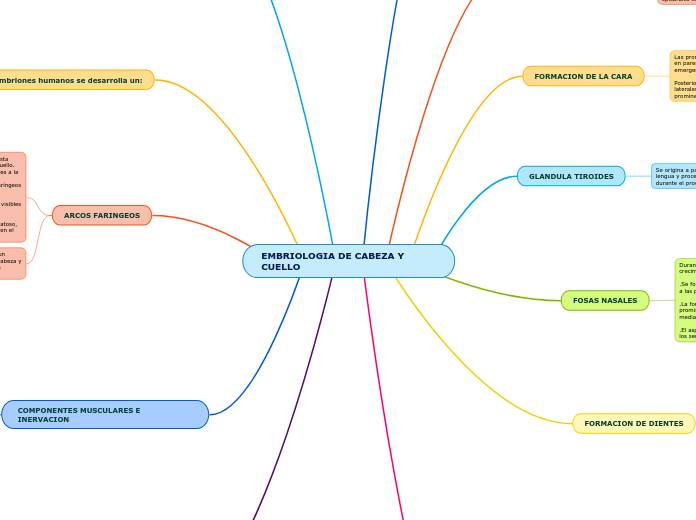 EMBRIOLOGIA DE CABEZA Y CUELLO