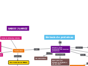 Sintesis de proteinas - Mapa Mental