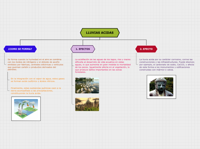 Organigrama arbol