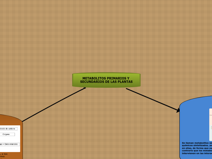 METABOLITOS PRIMARIOS Y SECUNDARIOS DE LAS PLANTAS