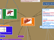 Apex Unit 10 Liver