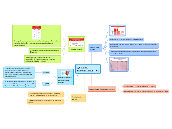 EQUILIBRIO HIDROELECTROLITICO