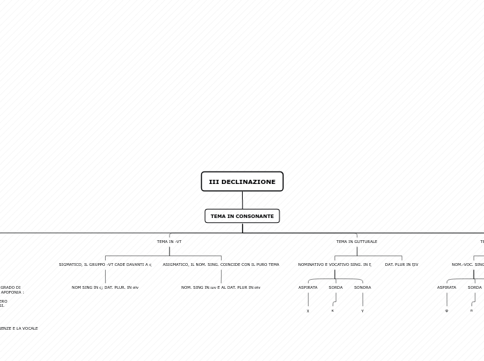 Organigramma