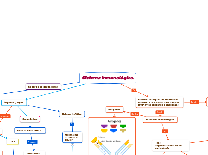 Sistema inmunológico.
