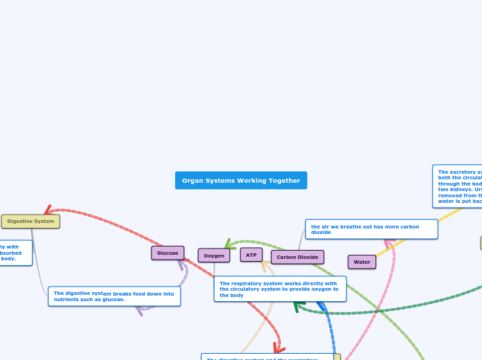 Organ Systems Working Together